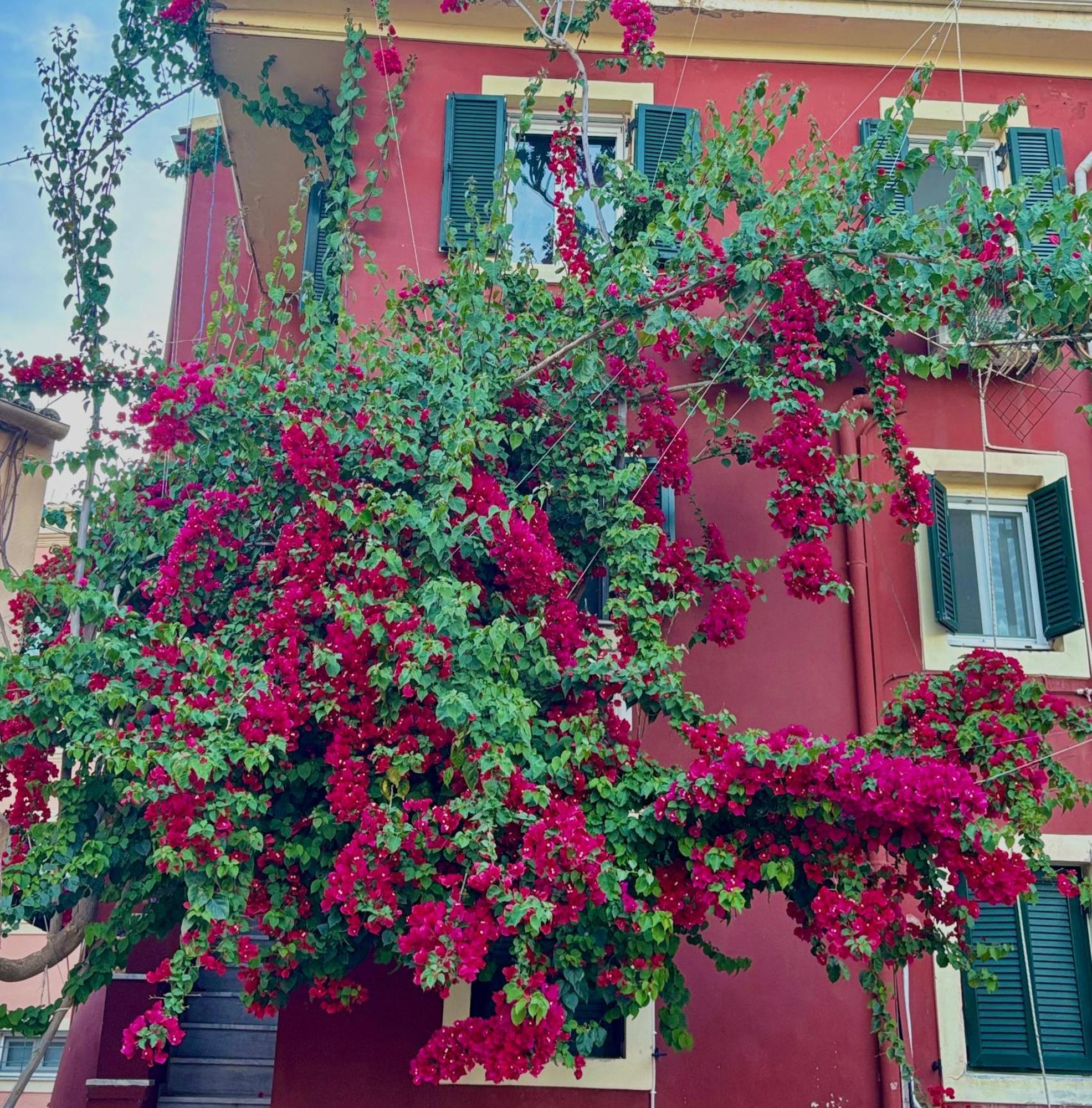 Corfu Port Appartement