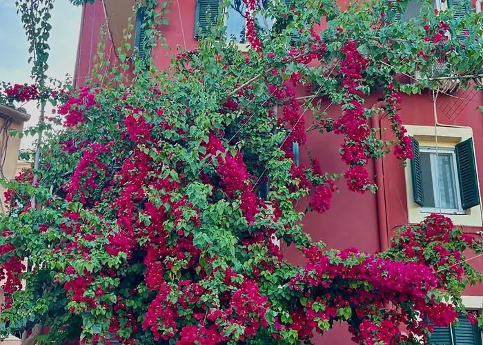 Corfu Port Home